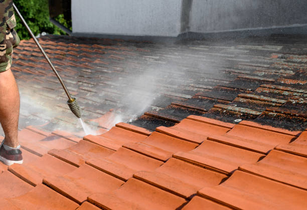 Best Commercial Pressure Washing  in Sutherland, NE